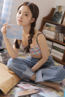 金装的维尔梅第二集